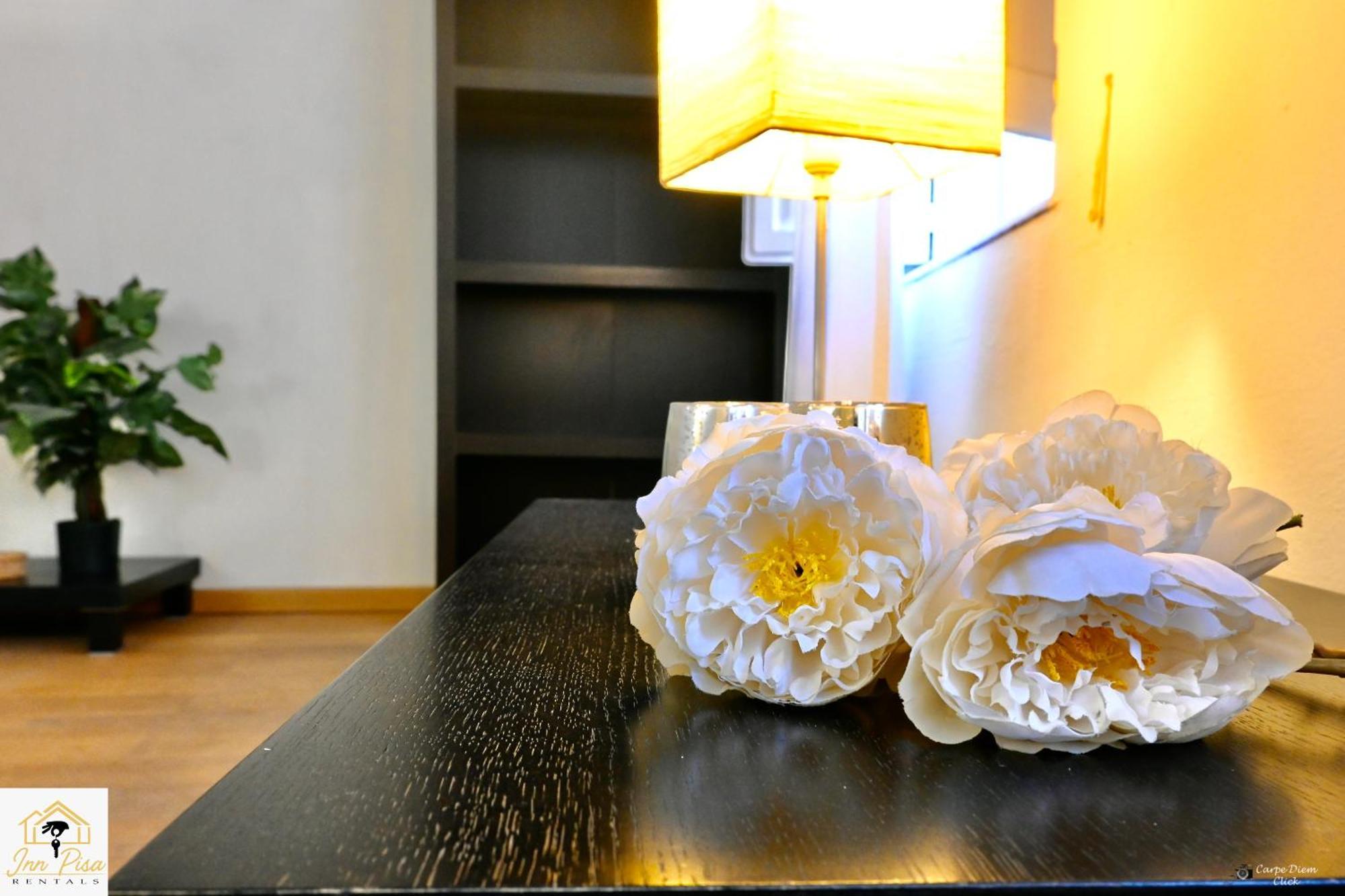 Inn Pisa Rentals 2- San Francesco Flat 外观 照片