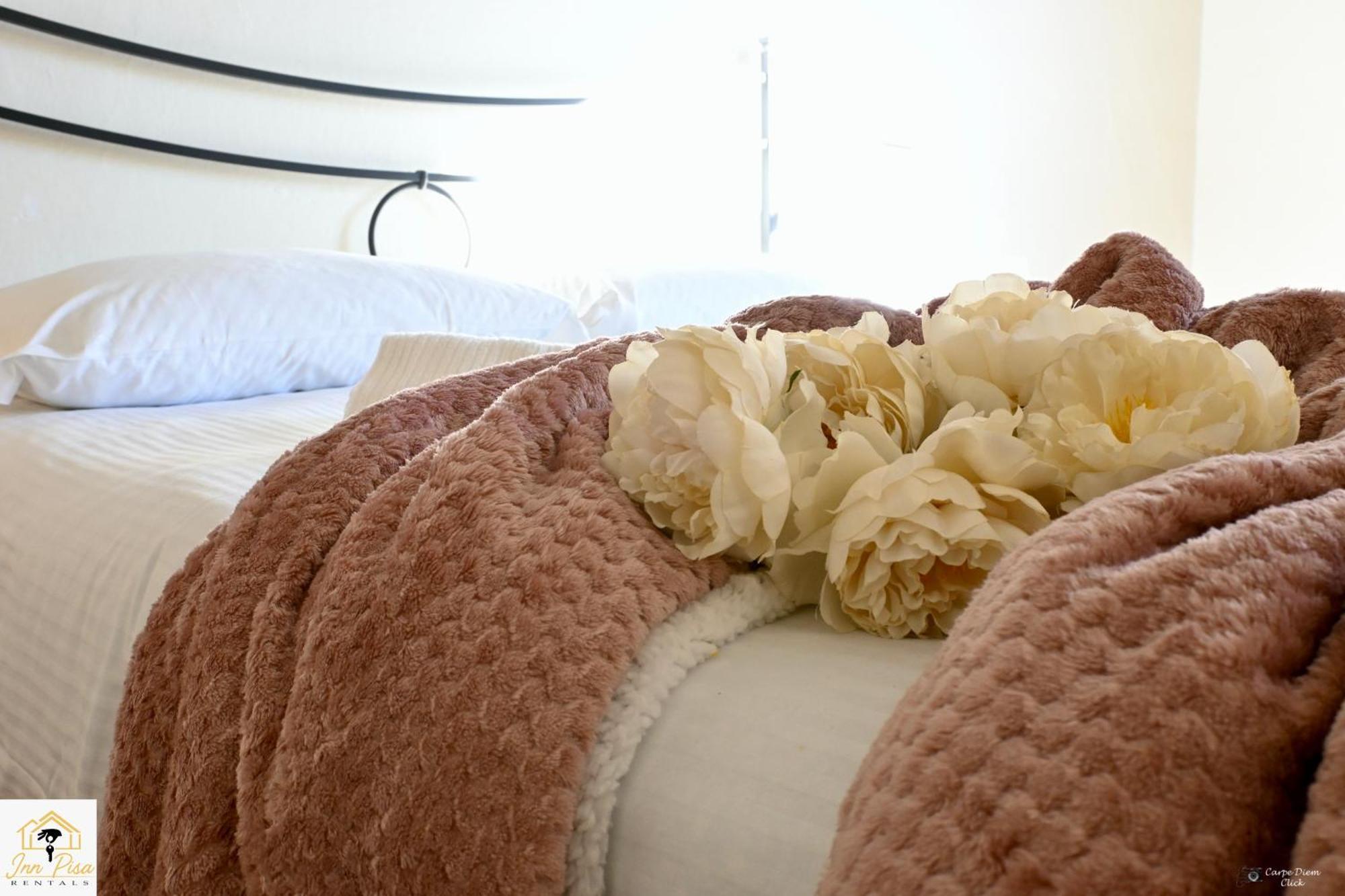 Inn Pisa Rentals 2- San Francesco Flat 外观 照片